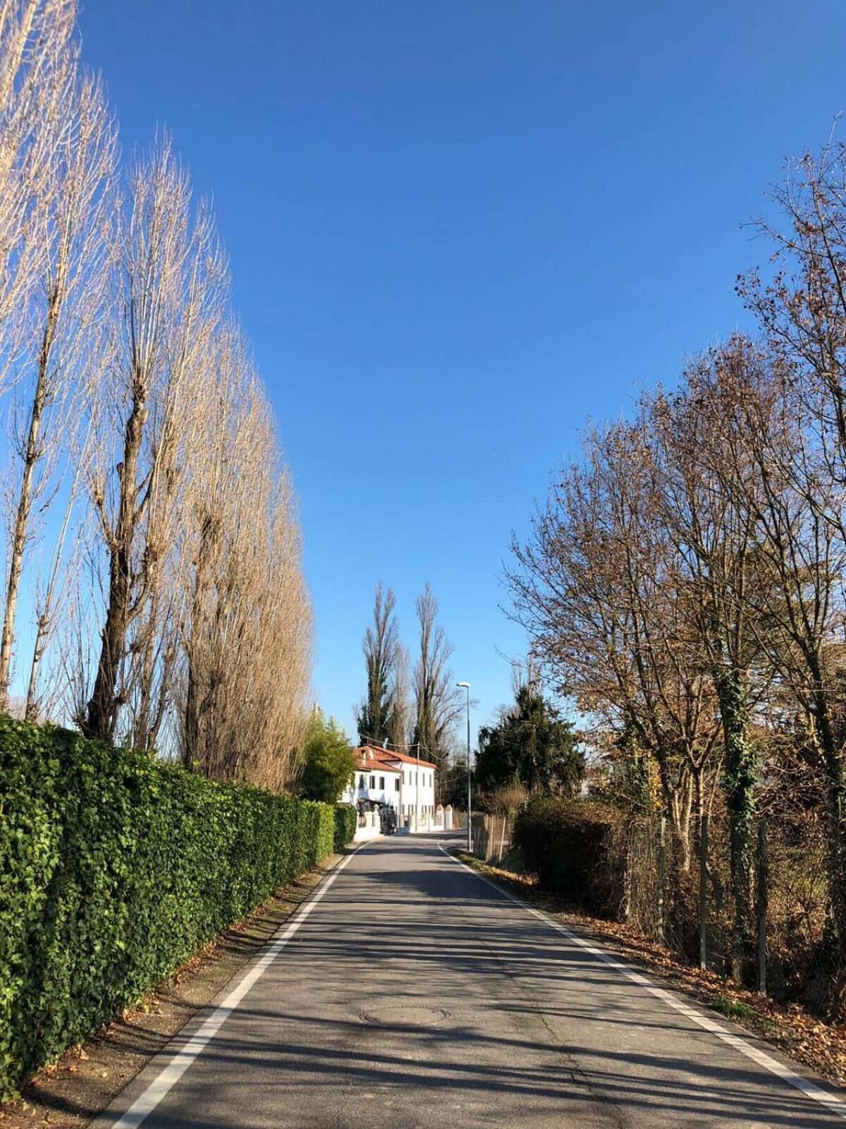 Eine gerade Straße, gesäumt von baumfreien Bäumen und einer Hecke, führt zu einem weißen Gebäude mit rotem Dach.