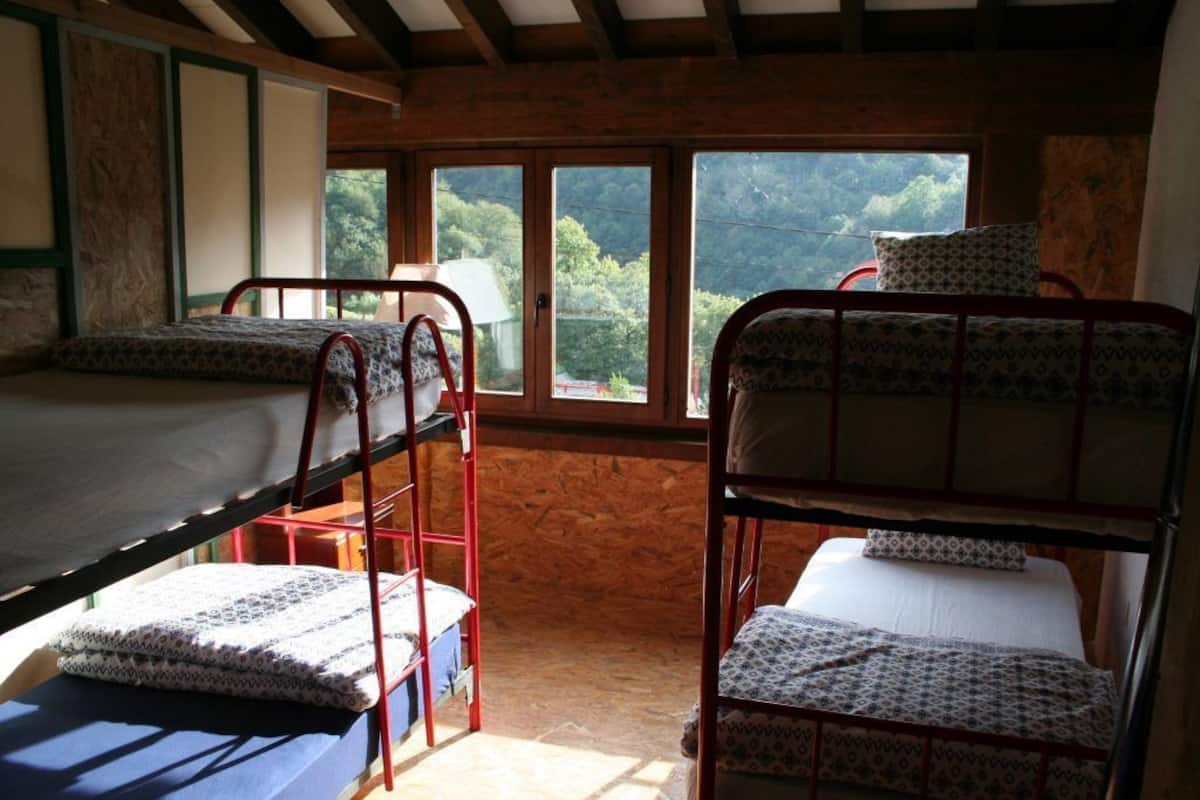 Un dormitorio con literas, paredes de madera y vistas a zonas verdes a través de las ventanas.