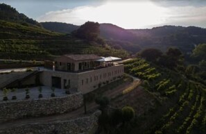 Exterior - Domaine de la Font des Pères (Le Beausset)