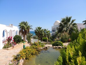 A courtyard with a small water feature, palm trees, and white buildings with arched windows.
