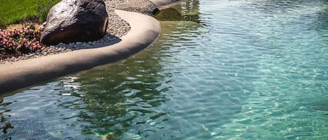 Kauden mukainen ulkouima-allas avoinna 9.00–20.00, aurinkovarjoja