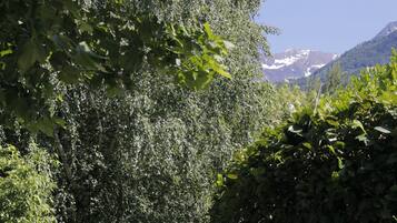 A narrow path surrounded by dense foliage and a mountain in the background.