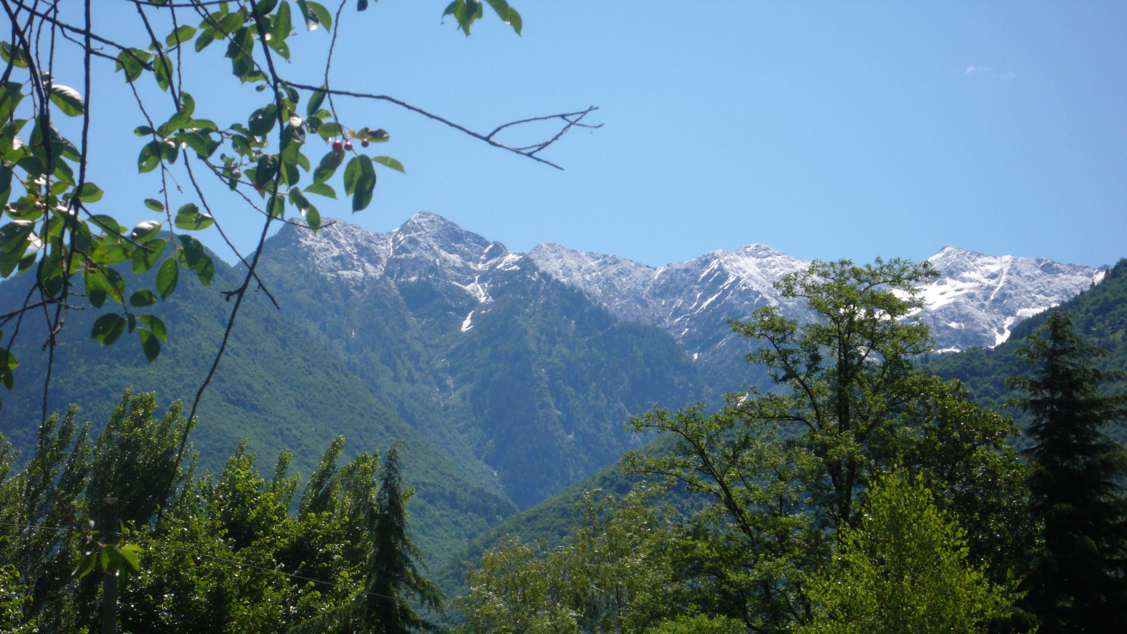A mountainous landscape with dense forest in the foreground and snow-capped peaks in the background.