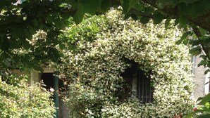 Un jardí amb diferents plantes i flors, un edifici amb una finestra i una porta verda.