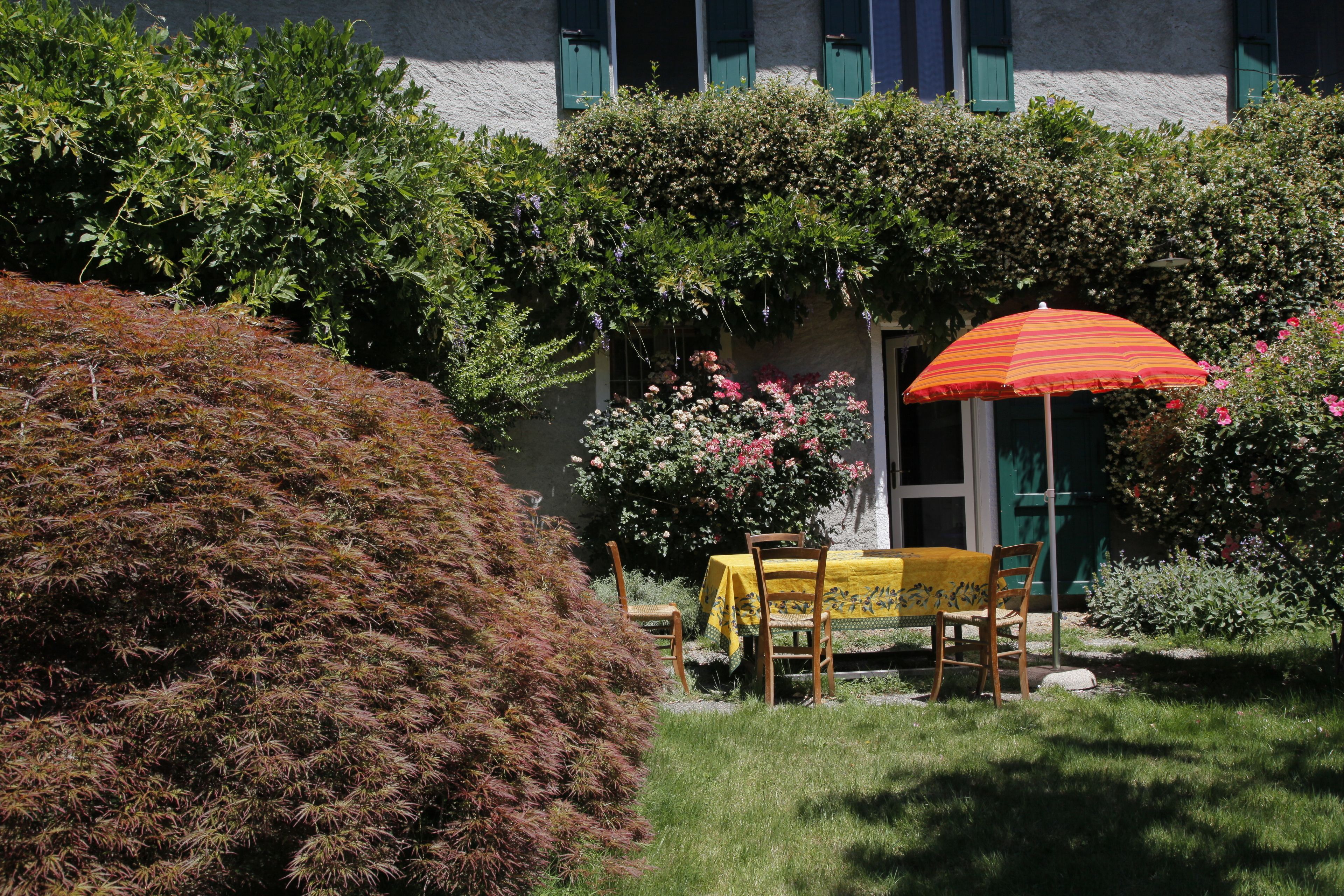 Un jardin avec une table et des chaises, un parasol, et un bâtiment aux volets verts en arrière-plan.
