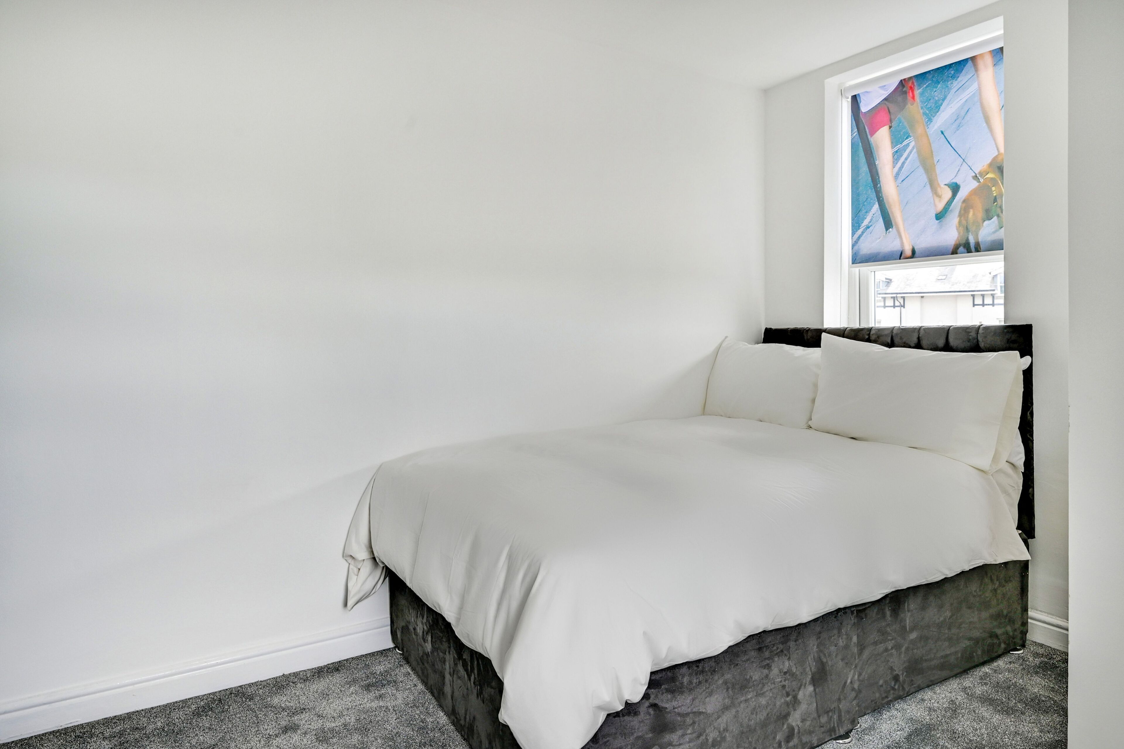 Foto - Albert View Rooms