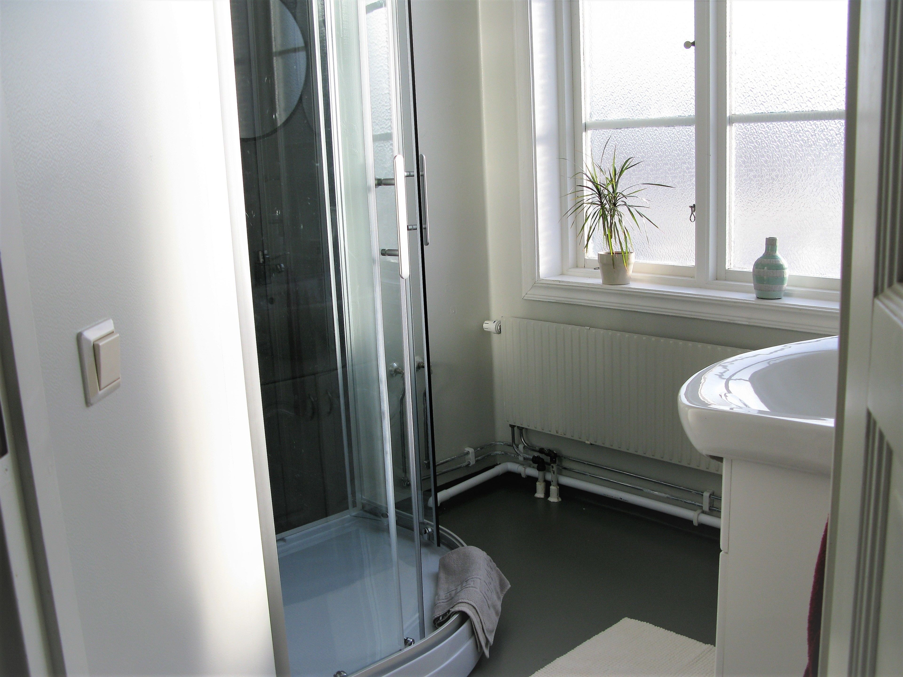 A bathroom with a glass shower enclosure, a white sink, a radiator, and a window with a plant.