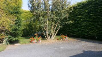 Parkir mandiri gratis