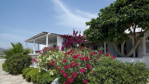 A white building with a covered outdoor area, surrounded by lush greenery and flowering plants. - Tatiana Villa & Apartments (Mykonos)