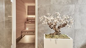 Un interior moderno con una escalera de madera y un árbol bonsái en una maceta blanca.