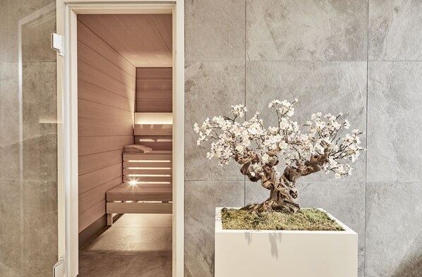 Sauna, steam room