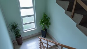 A staircase with a wooden handrail, a potted plant, and a window with multiple panes.