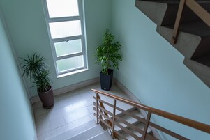 Una escalera con barandilla de madera, una planta en maceta y un ventanal de varios cristales.