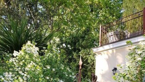 Garden - Les Buis de Boscherville (Henouville)