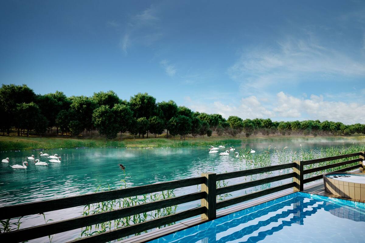 A pool with a wooden deck and a view of a lake with swans.