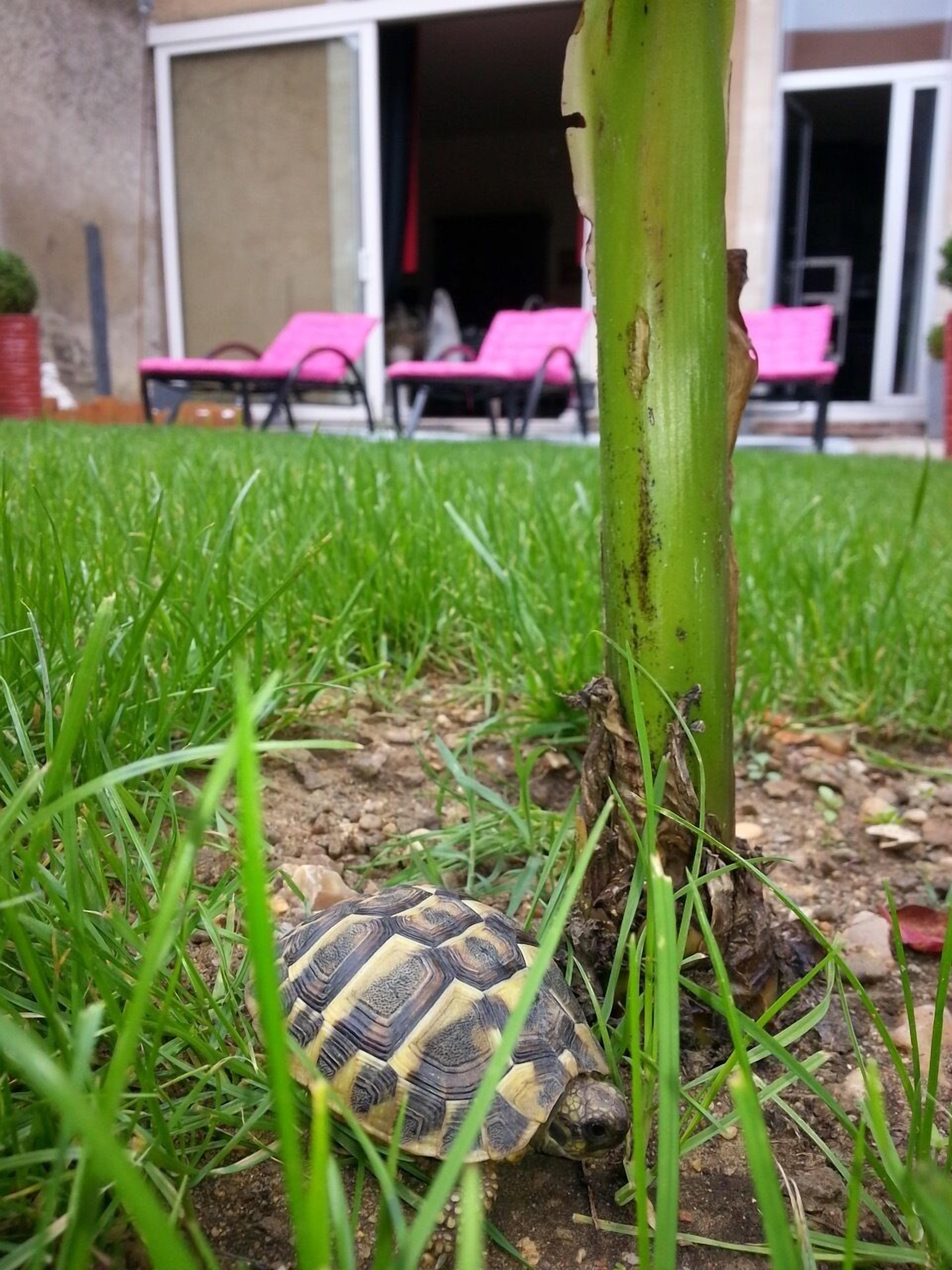Foto - Les Lamartine-chambres d'hôtes