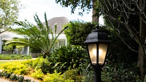 A garden pathway with a black lantern post. - Cape Village Lodge (Cape Town)