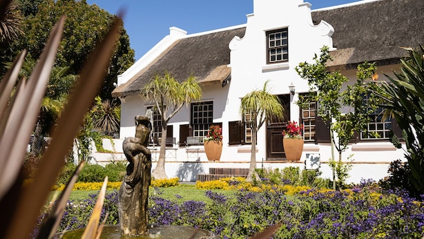 A white building with a thatched roof, surrounded by a garden with various plants and flowers. - Cape Village Lodge (Cape Town)