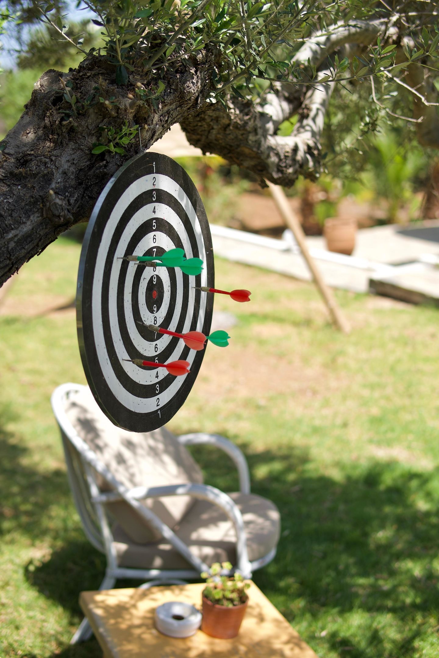 A dartboard hanging from a tree branch, a lawn chair, and a small table with a potted plant.