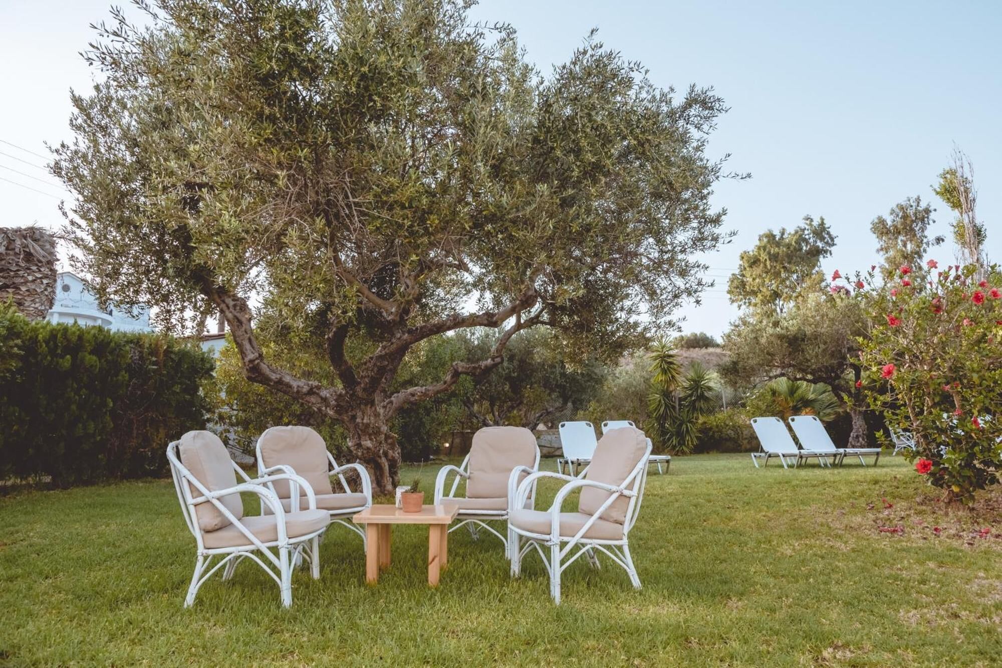 Un jardín con una mesa y cuatro sillas bajo un árbol grande.