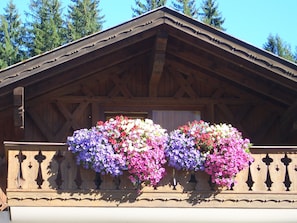 Exterior - AlpenNaturIdyll  (Grainau)