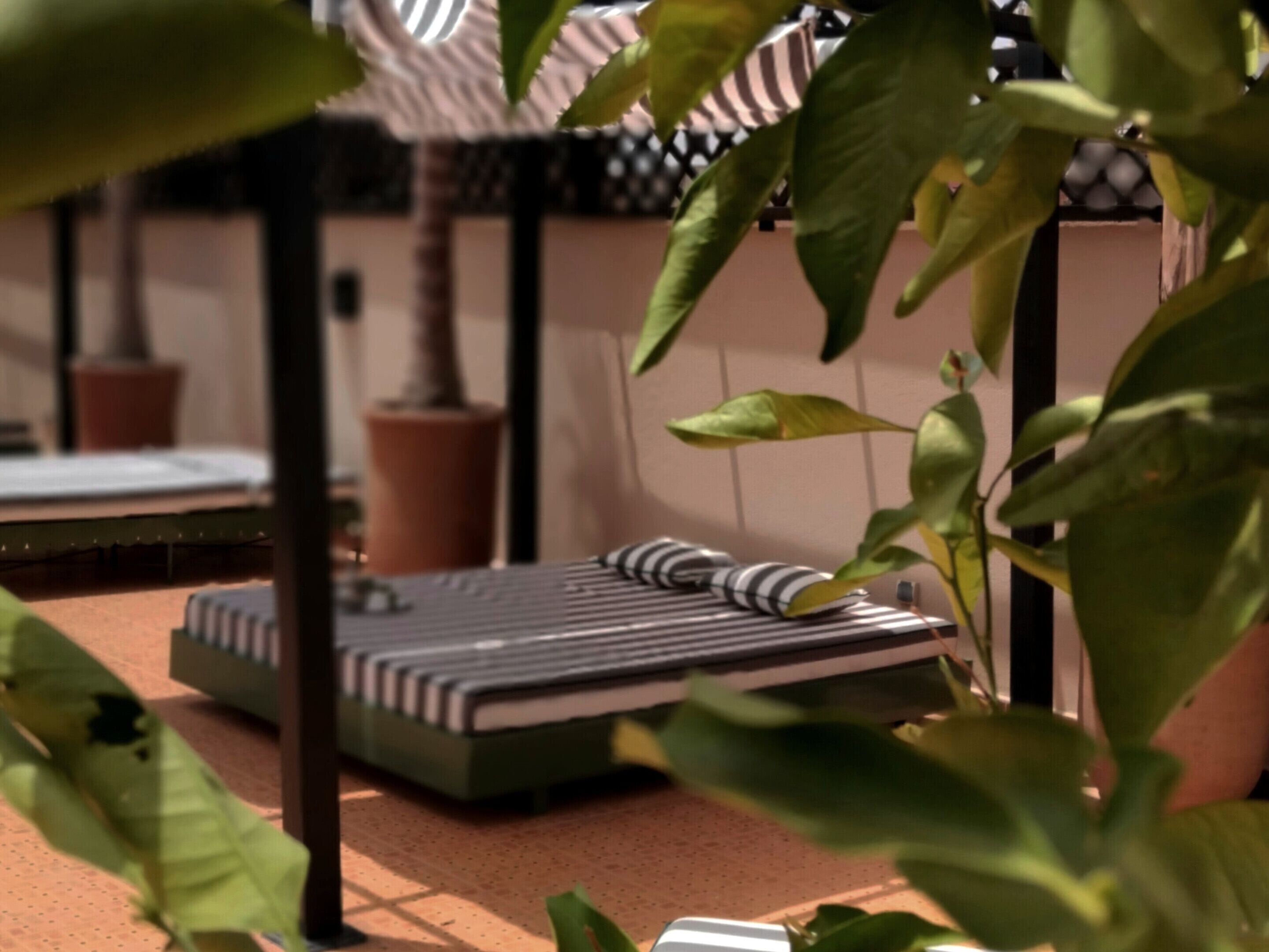 A room with a bed, a striped pillow, and a potted plant.