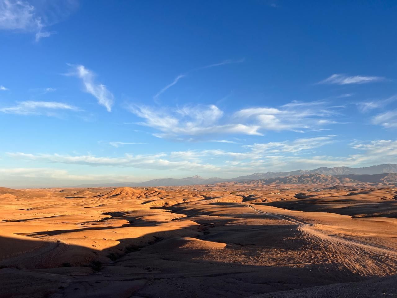 A vast desert landscape with undulating sand dunes under a clear sky.