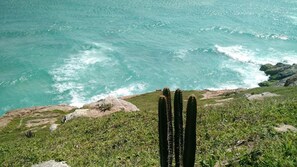 A coastal landscape with a cactus in the foreground and the ocean in the background. - Casa Acolhedora no Paraíso (Arraial do Cabo)
