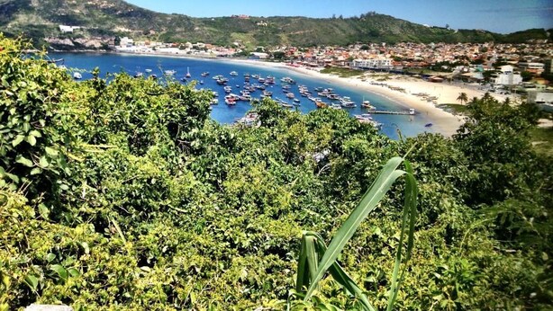 A coastal town with a marina filled with boats, a sandy beach, and lush greenery in the foreground.