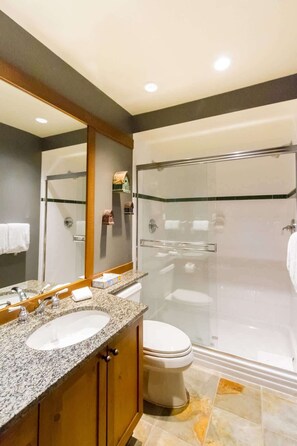 Shower, hair dryer, shampoo