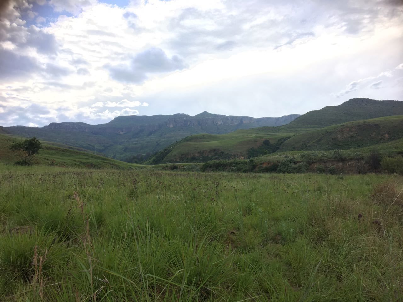 A grassy field with rolling hills and mountains in the distance.