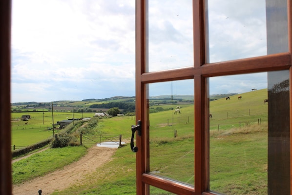 A view through a window of a rural landscape with green fields, a dirt path, and a few buildings in the distance.