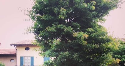 B&B Corteprimavera
