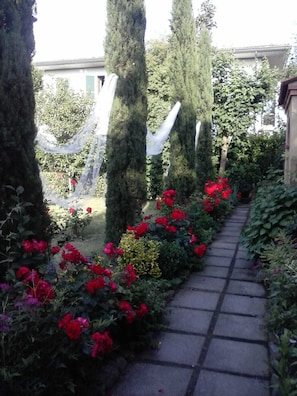 Terras
