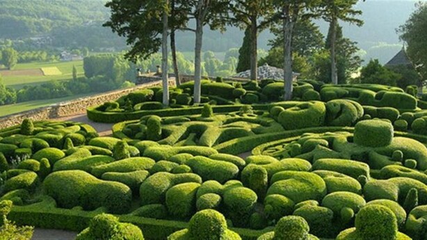 Ein sorgfältig angelegter Garten mit geometrischen Hecken und Bäumen.