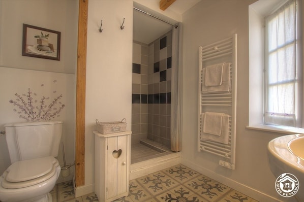 A bathroom with a toilet, shower, and bathtub. - La Cerisaie (Francheleins)