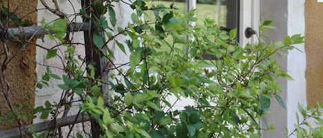 Habitación doble superior | Decoración personalizada, muebles diferentes y escritorio