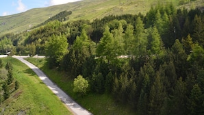 A rural road winding through a green landscape with dense forests on one side and a hill on the other.