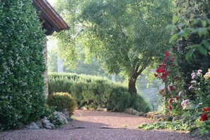 Garden - Verdidea - Podere della Bruciata (Chiusi)