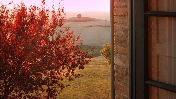 A view from a window overlooking a grassy field with a tree in the foreground. - Verdidea - Vallocchie (Sarteano)