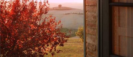 Blick von der Unterkunft