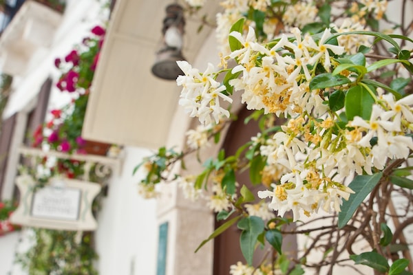 DĂ©tail de lâextĂ©rieur