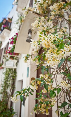 A building with white walls and a balcony adorned with white flowers. - Santo Stefano (Putignano)