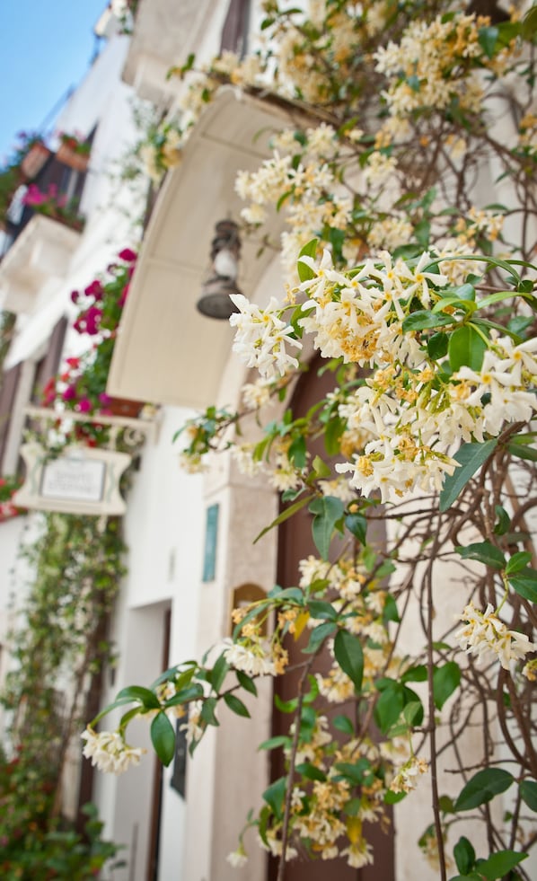 Détail de l’extérieur