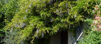 Agriturismo San Lorenzo