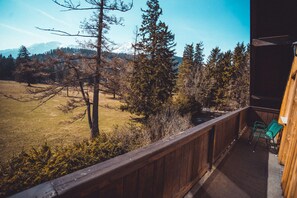 Apartment, 1 Bedroom, Balcony (Nr. 4) | Terrace/patio