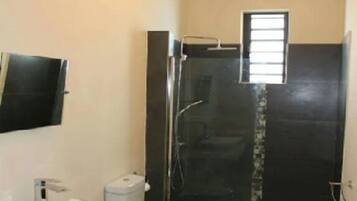 Shower, rainfall showerhead, hair dryer, towels