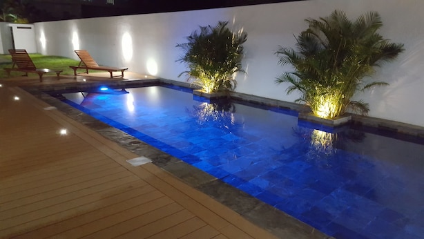 Piscina esterna con due palme e un pontile in legno.