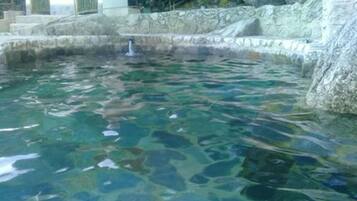 2 piscinas al aire libre