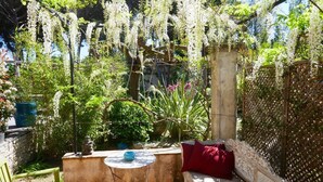 Un patio con un banco de madera, una pequeña mesa redonda y flores blancas colgantes.